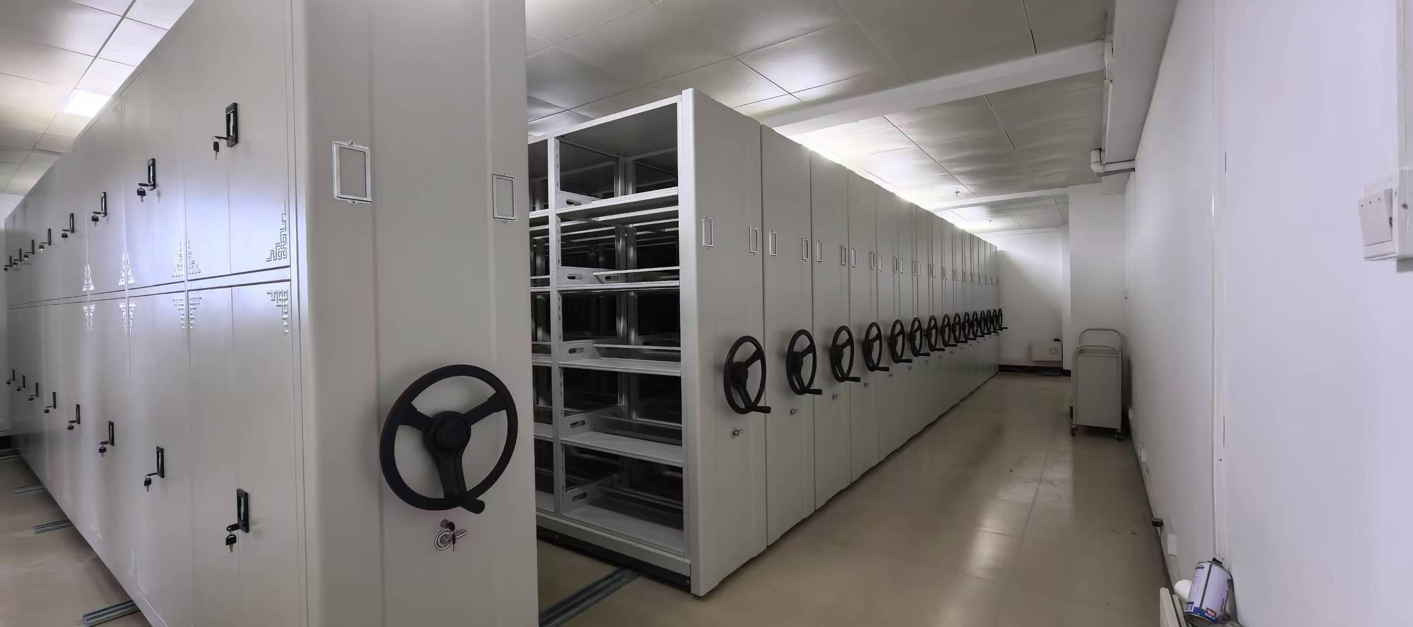 mobile shelving project (4).jpg